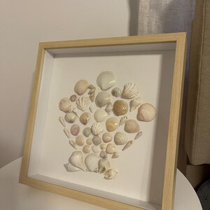 May include: A framed seashell art piece. Various sizes and shapes of seashells are arranged on a white background within a light wood frame. The shells are in shades of white, cream, and tan, creating a coastal theme.