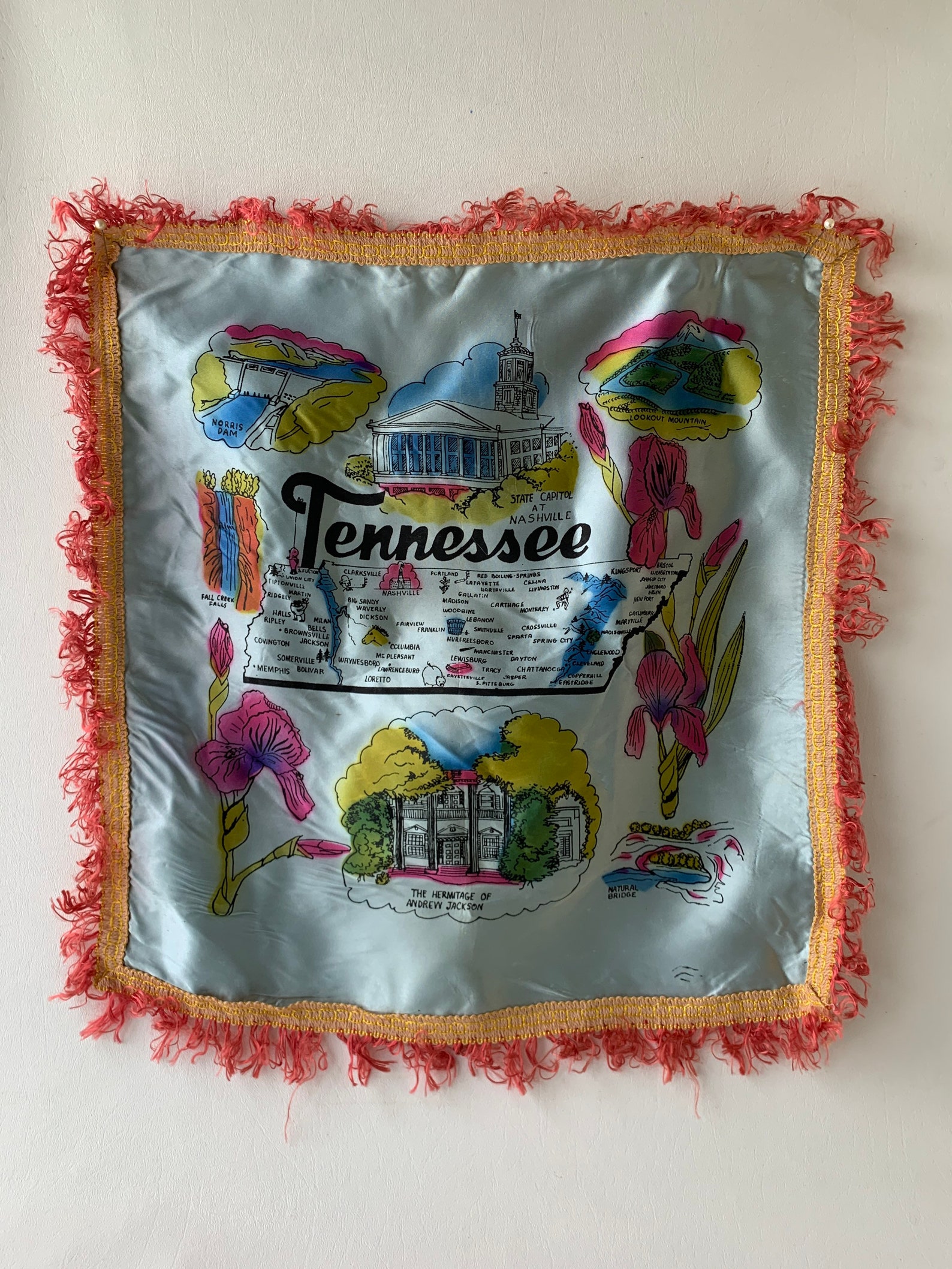 Vintage Souvenir Tennessee Pillow Etsy