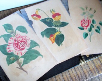 Trio of Vintage Hand Painted Watercolor Botanical Paintings