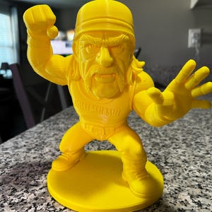 Hulk Hogan