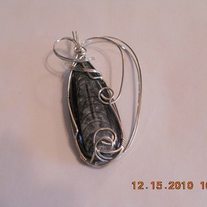 Fossils, Wire Wrapped Orthoceras, Wire Wrapped Pendant, Orthoceras Fossil, Wire Wrap,  Orthoceras, Black Pendant, Sterling Silver, Ocean