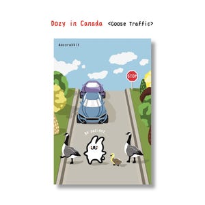 Dozy in Canada Postcard - Goose Traffic
