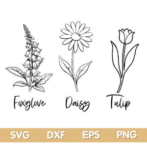 May include: Black and white line art illustrations of three flowers: a foxglove, a daisy, and a tulip. The names of each flower are written below the illustrations.
