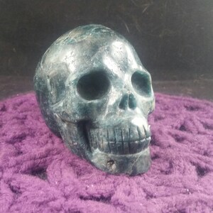 Blue Green Apatite Skull Polished Crystal Stones Carved Crystals hand carving skulls memento mori