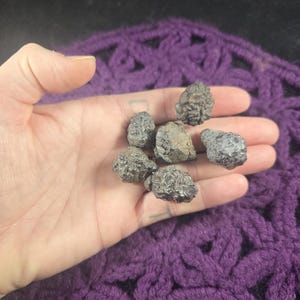6 Prophecy Stones Pseudomorph Hematite Limonite Goethite after Pyrite Marcasite Raw Crystal Natural Rare Rough White Desert Egypt