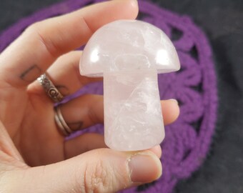 Rose Quartz Carved Mushroom Healing Stones Crystal Carving Pink Shimmer Mushie Shroom fungi fungus garden decor