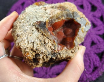 Red Fox Crater Agate Rough Stone Raw Botryoidal Red Agate Crystal Ankara Turkey