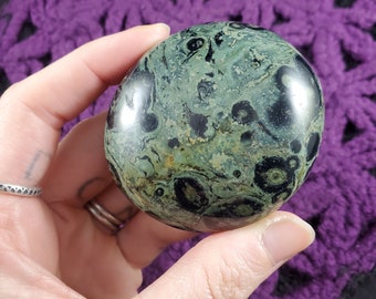 Kambaba Jasper Palmstone Gallet Crystal Palm Stone Green Black Kambamba crocodile nebula peacock eye large freeform