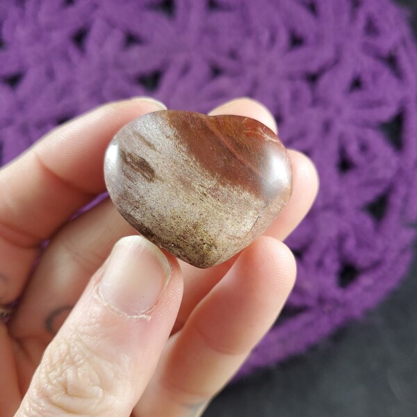 Petrified Wood Small Heart Red Brown Polished Pocket Stone Crystal Carving natural pet Madagascar fossil fossilized