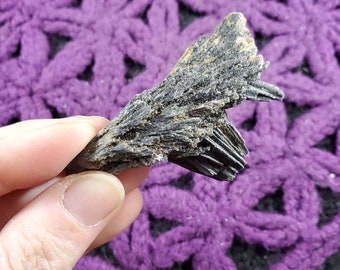 Black Kyanite Fan Blade Cluster Crystal Stones Crystals Rough Natural