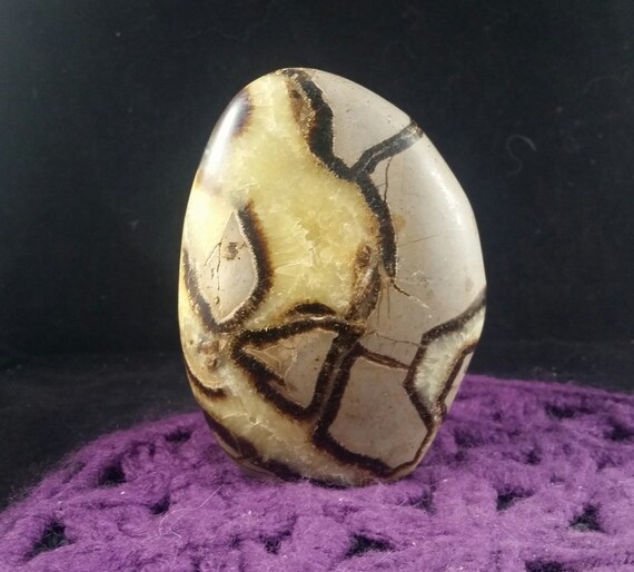 Septarian Dragon Stone Standing Freeform