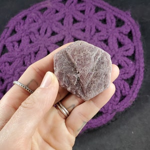 Peut inclure: Un cristal de rubis rose et violet avec une texture brute et naturelle. Le cristal a la forme d'une pyramide avec de multiples facettes.