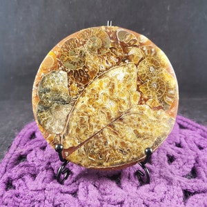 Ammonite Slice Disc Polished Display Plate Stones Crystals Fossil Spirals Madagascar shell fossils disk with free stand