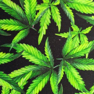 Peut inclure: Un tissu noir avec un motif répété de feuilles de marijuana vertes.