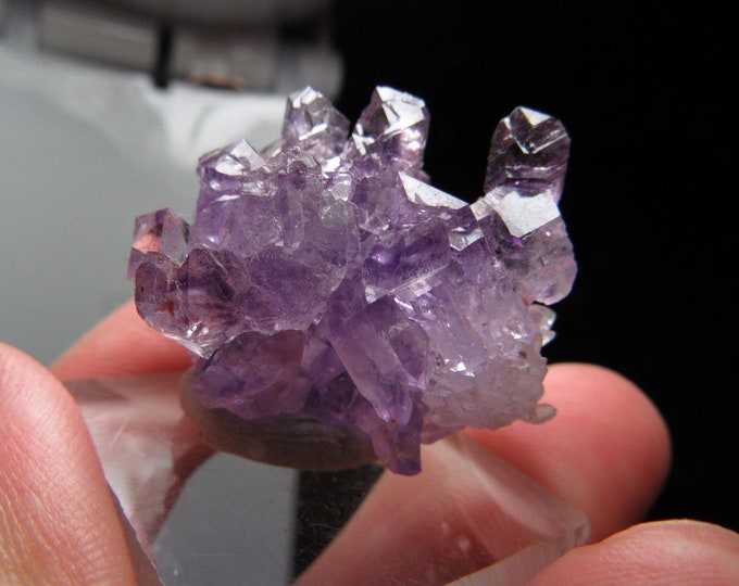 India Sceptered Amethyst cluster from Kakamunurle Mine Karur Dist.