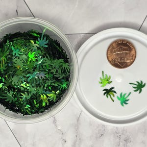 READY TO SHIP-Glitter 1/2, 1 or 2 oz-Hemp Leaf-Flamingo-Palm Trees-Northern Star-Fall Leaves-Snitch-Triangle-Lightning Bolt-Heart-Latte Palm Trees