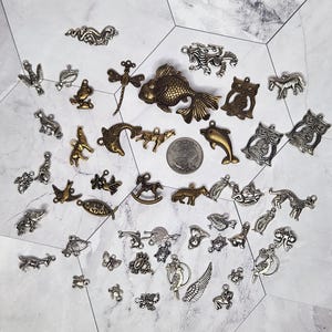 48pcs Antique Silver & Brass Animal Charms, Jewelry Making Supplies-READY TO SHIP
