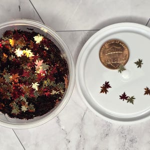 READY TO SHIP-Glitter 1/2, 1 or 2 oz-Hemp Leaf-Flamingo-Palm Trees-Northern Star-Fall Leaves-Snitch-Triangle-Lightning Bolt-Heart-Latte Fall Leaves