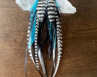 Turquoise, White & Black Striped Feather Earrings