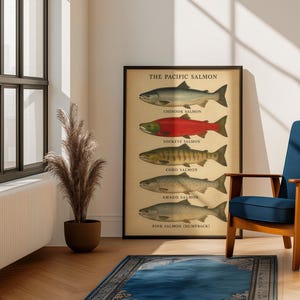 Puede incluir: Una impresión enmarcada titulada "The Pacific Salmon" muestra ilustraciones de varias especies de salmón, incluyendo Chinook, Sockeye, Coho, Amago y Salmón rosado. La obra de arte es de estilo vintage, con un fondo neutro y un marco negro.
