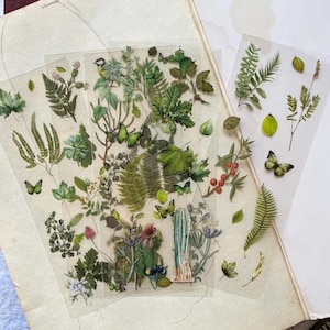 Pflanzen Sticker: Wasserfeste Blumen Sticker für Kindle, Laptop - 6 Stk