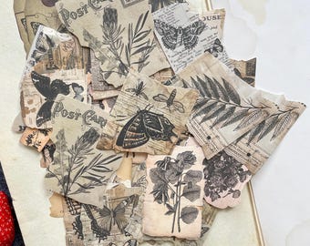 60 Pcs/Pack Wilderness Retro Art Sticker Writable Paper