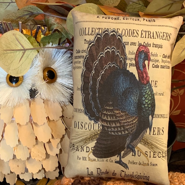 New~~ Primitive Vintage Autumn Fall Thanksgiving Turkey Harvest Art Print Bowl Filler Pillow (4.5"x7") Vintage Hare HAFAIR, OFG, FWB