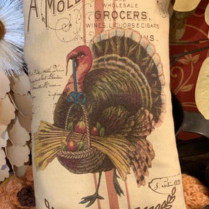 May include: A beige pillow with a vintage design featuring a turkey carrying a basket of apples. The pillow has red and white stripes and the text "A Moll Grocer Co. Importers and Wholesale Grocers, Wines, Liquors & Cigars" is printed on the front.