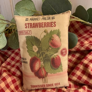 May include: A beige fabric pillow with a vintage-style illustration of strawberries. The pillow has the text "MARKET FRESH FARM FRESH STRAWBERRIES OPEN DAILY" and "SUNKISSED SINCE 1924" printed on it.