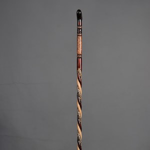 walking stick cane