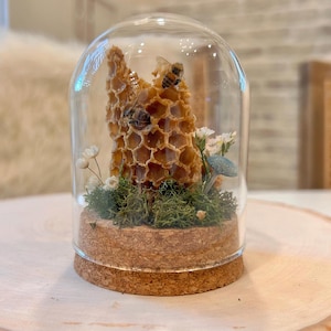 honey bee