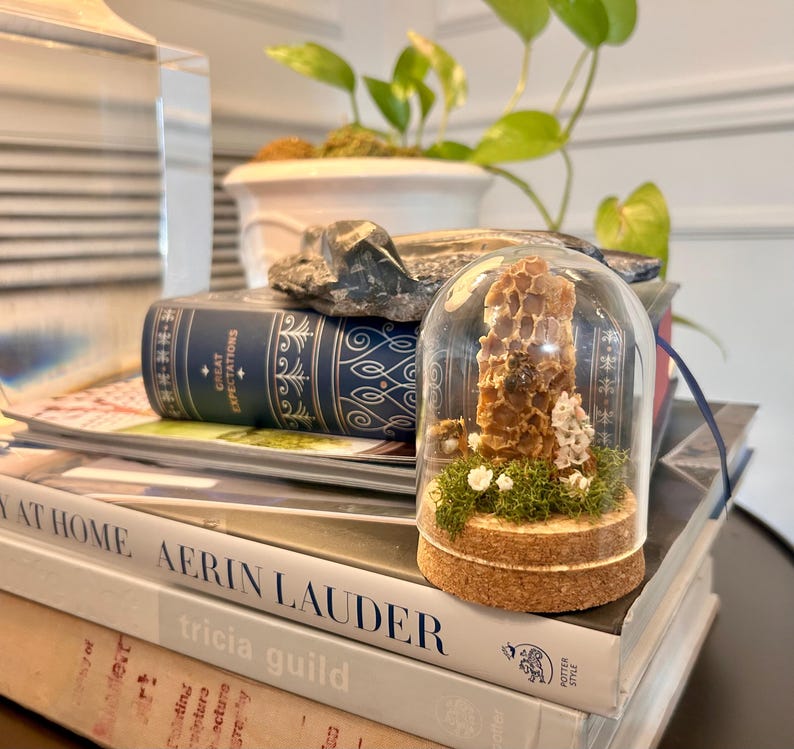 bee taxidermy