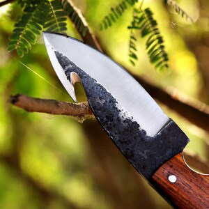 May include: Close-up of a handcrafted knife with a polished silver blade and a dark, textured edge. The knife features a wooden handle with a single white dot. The blade has a unique hook-like design near the tip.