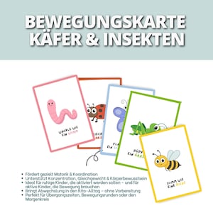 Pode incluir: Um conjunto de cartões coloridos com ilustrações de insetos. Cada cartão apresenta um inseto diferente, incluindo uma minhoca, uma joaninha, uma borboleta, um gafanhoto e uma abelha. Os cartões têm texto em alemão, incluindo o título "BEWEGUNGSKARTE KÄFER & INSEKTEN".