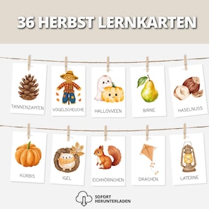 Op de afbeelding: Een set van 36 educatieve kaarten met de titel 36 HERBST LERNKARTEN, opgehangen aan twee touwtjes met houten knijpers. De kaarten bevatten aquarelillustraties van herfstthema's zoals een dennenappel, vogelverschrikker, spook, pompoen, peer, hazelnoot, egel, eekhoorn, vlieger en lantaarn, elk voorzien van een Duitse tekst.