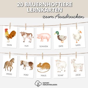 20 Farm Animal Flashcards | Language Development for Ages 3-6 | Printable for Kindergarten and Daycare | Instant PDF Download Learning Materials