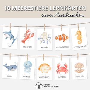 Könnte beinhalten: Zehn Aquarell-Lernkarten mit Meeresbewohnern wie Hai, Hummer, Kraken, Clownfisch, Seepferdchen, Wal, Qualle, Kugelfisch, Krabbe und Muschel. Die Karten hängen an einer Schnur mit Wäscheklammern. Der Text auf den Karten ist auf Deutsch.