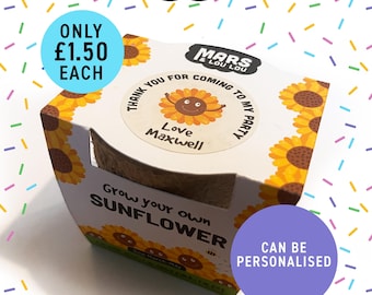 Party Bag Filler | personalised Sunflower Growing Kit for Kids – Eco-Friendly Party Favor party bags, corporate gift