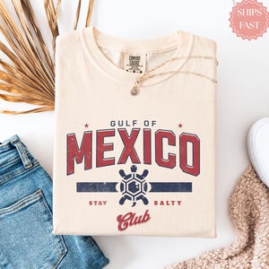 Gulf of Mexico Stay Salty Resistance Shirt, Resist Shirt, Anti Trump Shirt, Democrat Shirt, Democrat Gift Shirt