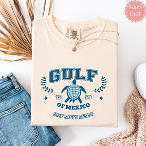 Gulf of Mexico Stay Salty Resistance Shirt, Resist Shirt, Anti Trump Shirt, Democrat Shirt, Democrat Gift Shirt