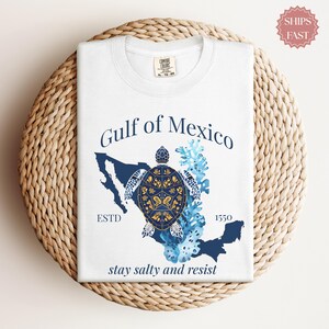 Gulf of Mexico Stay Salty Resistance Shirt, Resist Shirt, Anti Trump Shirt, Democrat Shirt, Democrat Gift Shirt