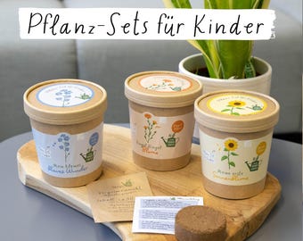 Könnte beinhalten: Drei Saatgut-Starter-Kits mit floralen Illustrationen und dem Text "Pflanz-Sets für Kinder" auf einem Holztablett. Die Kits zeigen Illustrationen einer Sonnenblume, Vergissmeinnicht und anderer Blumen. Eine Topfpflanze befindet sich im Hintergrund.