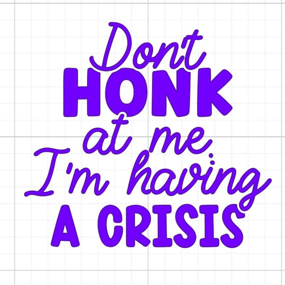 don't honk at me I'm having a crisis bumper vinyl sticker Funny car van race car truck glass home wall office gifts 20+colours personalised