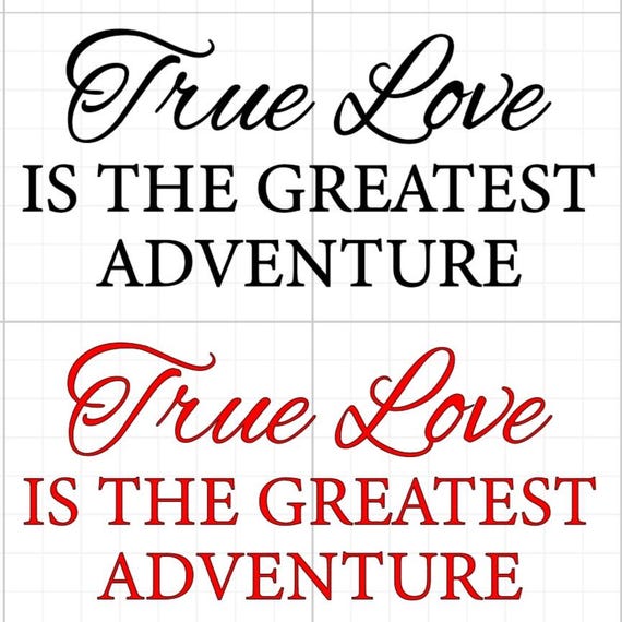true love the greatest adventure wedding love story vinyl sticker Funny stickers glass home wall office gifts 20+colours personalised