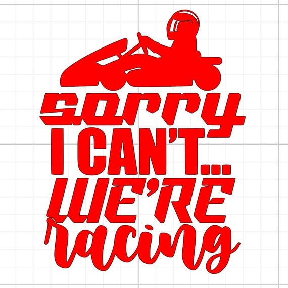 sorry i cant ere racing bumper sticker back off vinyl sticker Funny stickers car van race car truck glass home wall office gifts