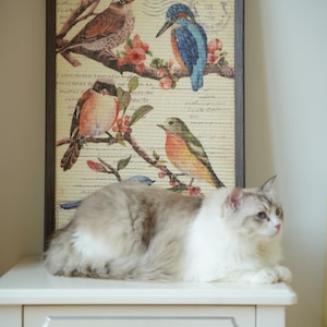 Original Wall Art Cat Scratcher – Modern Decorative Cat Furniture with Premium Natural Sisal – Eco-Friendly & Stylish Design