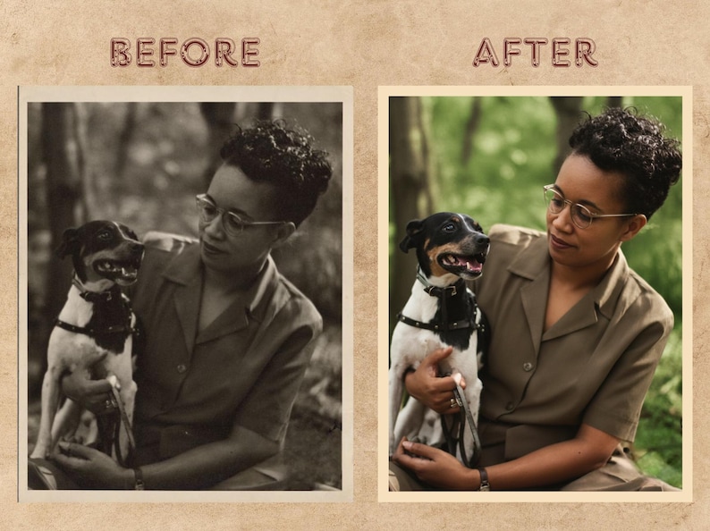 Peut inclure: Photographie vintage divis&eacute;e en deux parties, avec les mots &laquo; AVANT &raquo; et &laquo; APR&Egrave;S &raquo;. On y voit une personne tenant un chien noir, blanc et marron, portant un harnais. La personne porte des lunettes et une chemise boutonn&eacute;e.