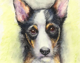 Pet Portrait 8" x 10"