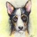 see more listings in the Pet Portraits section