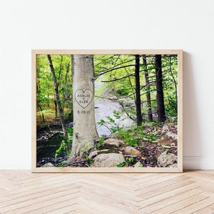 Forest scene with a beech tree near a river.  The tree has the option to be digitally personalized with names, dates or a short message